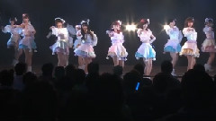 桜の花びらたち