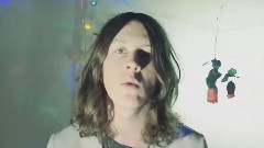 Blossoms - Blown Rose