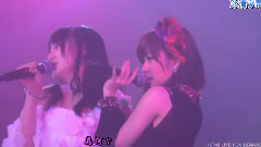 おしべとめしべと夜の蝶々