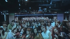 桜の花びらたち