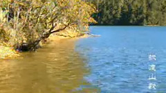 民乐群星 - 弥渡山歌 葫芦丝版