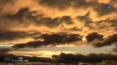 晨光(In The Morning Light)