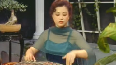 民乐群星 - 高山流水