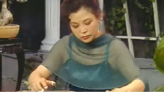 民乐群星 - 山坡羊