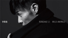 野生动物 电台试听版