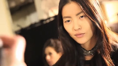 Model Liu Wen