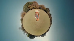 我要陪着你老去