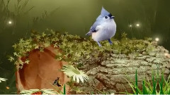 Маргаритки - разпилени по поляните като бисери! ...