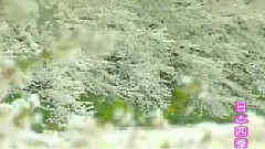 民乐群星 - 大海啊故乡 琵琶版