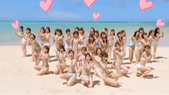 拉布拉多寻猎犬