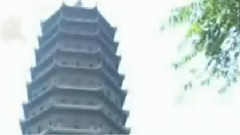 民乐群星 - 枉凝眉 洞箫版