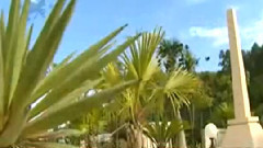 民乐群星 - 放风筝 板胡版