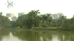 民乐群星 - 月芽五更 板胡版