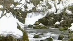 民乐群星 - 北国之春 洞箫版