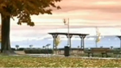 民乐群星 - 但愿人长久 洞箫版