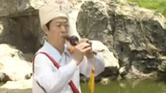 民乐群星 - 傣寨情歌 葫芦丝版