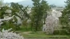 民乐群星 - 樱花 洞箫版