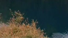 民乐群星 - 发如雪