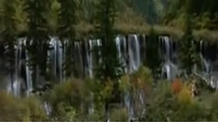 民乐群星 - 如果爱 葫芦丝版