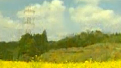 民乐群星 - 金孔雀与凤尾竹 葫芦丝版