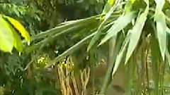 民乐群星 - 不了情 丝竹音乐