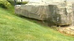 民乐群星 - 初恋女 丝竹音乐