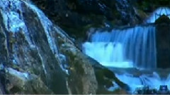 民乐群星 - 何日君再来 二胡版