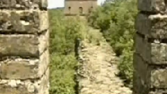 民乐群星 - 奔驰在千里草原 二胡版