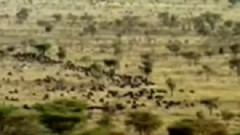 民乐群星 - 秋天不回来 二胡版