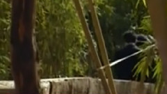 民乐群星 - 喜送公粮 二胡版