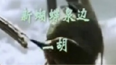 民乐群星 - 新蝴蝶泉边 二胡版