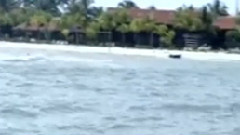 民乐群星 - 好人一生平安 二胡版