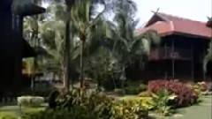 民乐群星 - 花心 二胡版