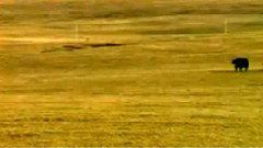 民乐群星 - 喜送公粮 二胡版