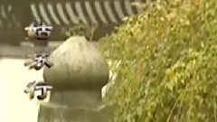 民乐群星 - 姑苏行 曲笛版