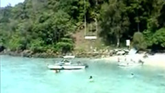 民乐群星 - 采花 二胡版