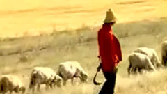 民乐群星,音乐短片 - 赛马 二胡版