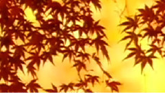 民乐群星 - 丰收锣鼓 民乐合奏