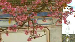 民乐群星 - 一剪梅 民乐合奏