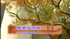 民乐群星 - 相思风雨中 民乐合奏