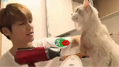 来自BOICE的情书