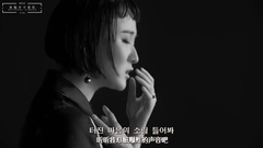 [被抛弃字幕组][郑容和&鲜于贞娥][烟火(Firework)][1080P][中韩双语]