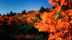 喜气洋洋迎新春