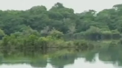 民乐群星 - 草原夜色美 合奏版