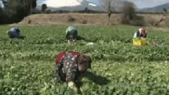 民乐群星 - 平湖秋月 笛子版