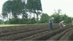 民乐群星 - 托起吉祥的云彩 小提琴版