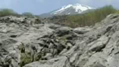 民乐群星 - 月下情歌 合奏版