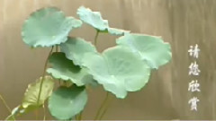 民乐群星 - 洁白的羽毛寄深情 民乐合奏