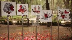 1000 Suspiros En Mundos Raros