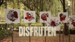 Multiplicando Viene Incluida En El